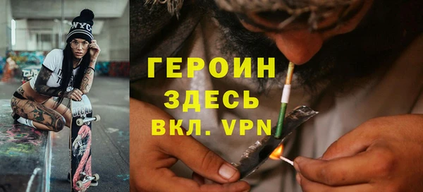 гидра Богородицк