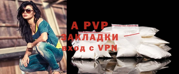гидра Богородицк