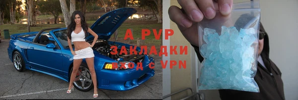 стаф Белокуриха