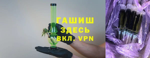гидра Богородицк