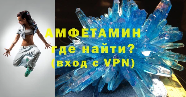 гидра Богородицк