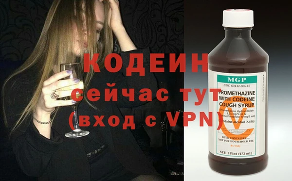 гидра Богородицк
