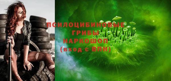 стаф Белокуриха