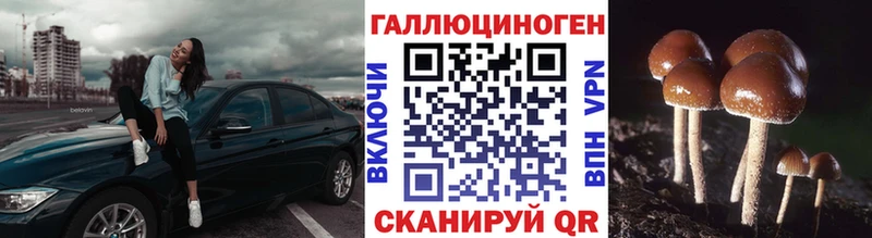 Псилоцибиновые грибы Cubensis  Бугуруслан 